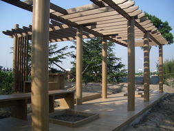 廣州同欣 木塑型材賦能康體設(shè)備，引領(lǐng)綠色運(yùn)動(dòng)新潮流